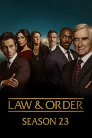 Law & Order: Season 23